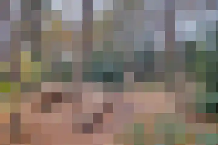 Het Hazenveld 56 Harfsen thumbnail 25