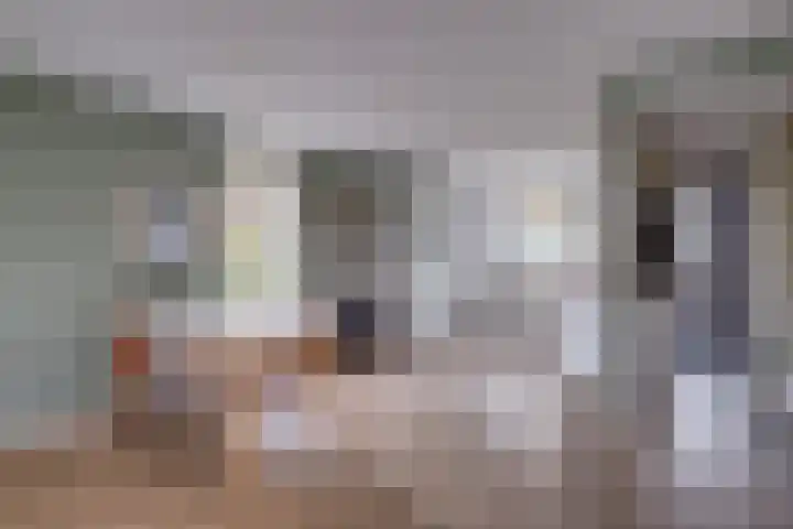 Het Hazenveld 56 Harfsen thumbnail 7