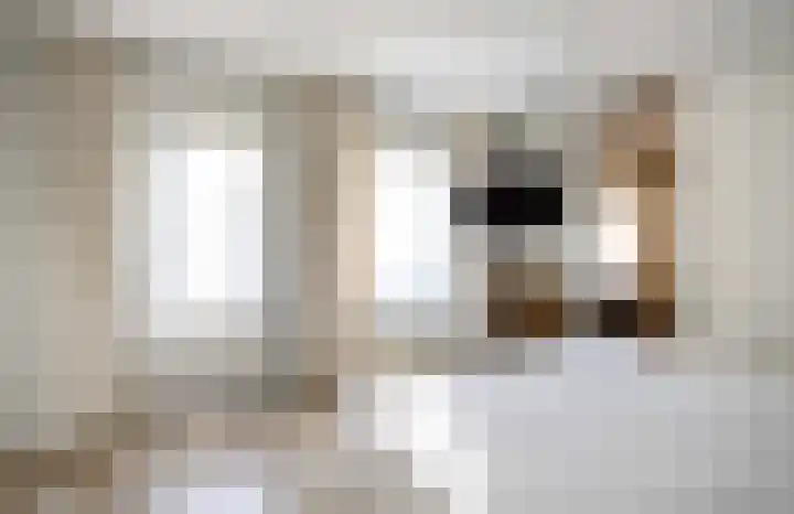 Het Heem 8 Venray thumbnail 23