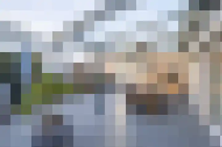 Het Heem 8 Venray thumbnail 40