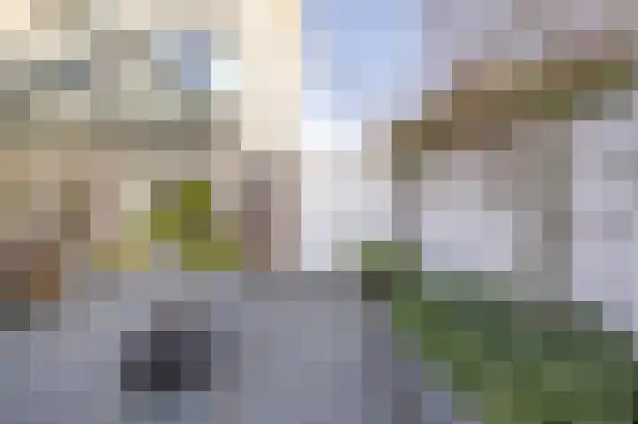 Het Heem 8 Venray thumbnail 41