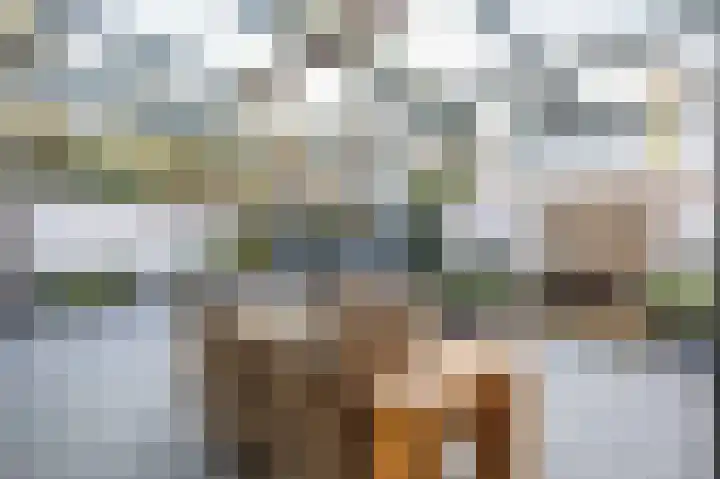Het Heem 8 Venray thumbnail 43