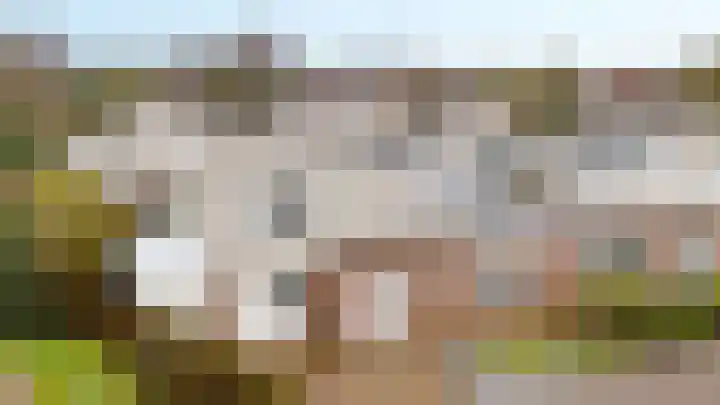 Het Heem 8 Venray thumbnail 47