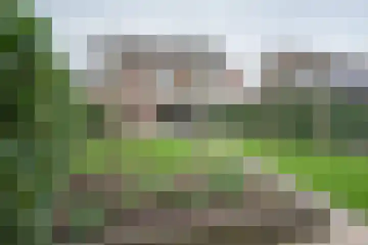 het Heijink 7 in Vorden