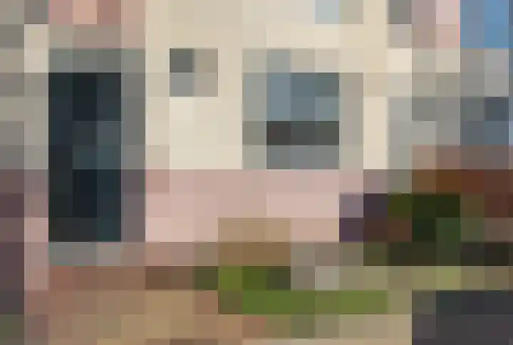 het Hietland 12 Zelhem thumbnail 4