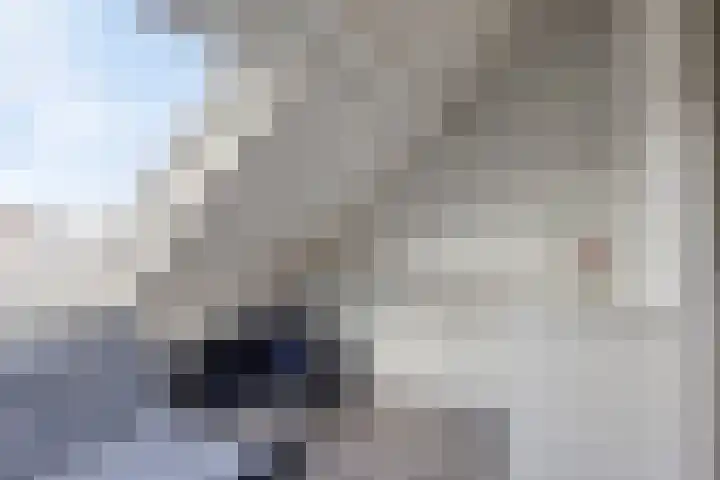 het Hietland 16 Zelhem thumbnail 28