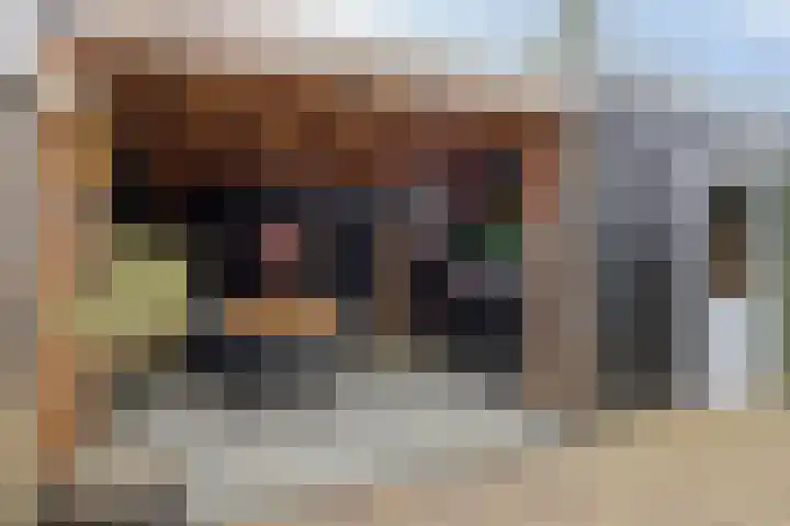 het Hietland 16 Zelhem thumbnail 33