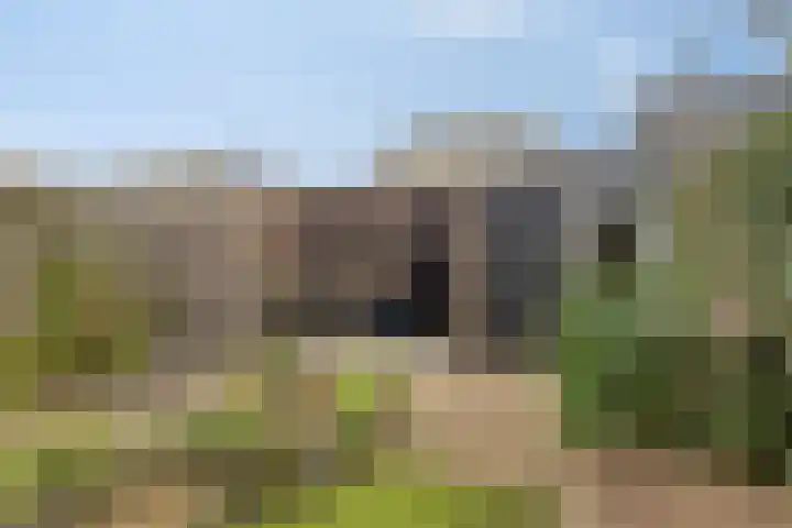 het Hietland 16 Zelhem thumbnail 35