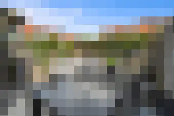 Het Hoefijzer 36 Dronten thumbnail 11