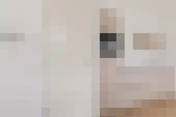 Het Hoefijzer 36 Dronten thumbnail 13
