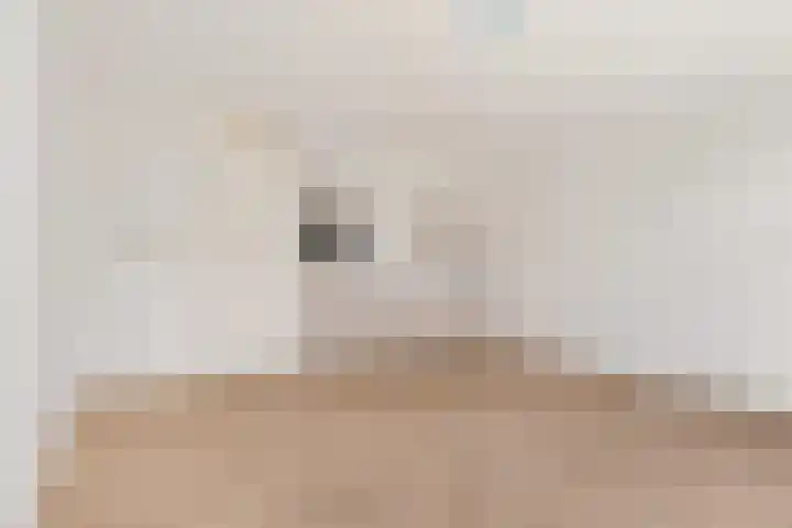 Het Hoefijzer 36 Dronten thumbnail 15