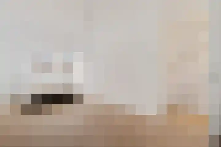 Het Hoefijzer 36 Dronten thumbnail 22