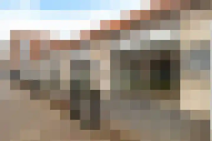 Het Hoefijzer 36 Dronten thumbnail 28