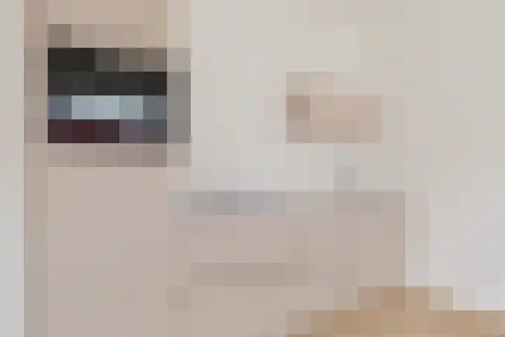 Het Hoefijzer 36 Dronten foto 3