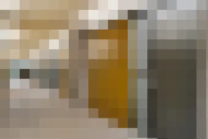 Het Hoefijzer 36 Dronten thumbnail 7