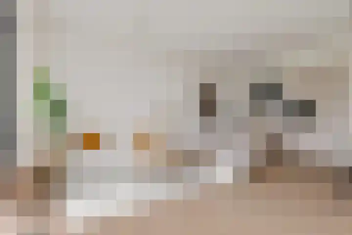 Het Hoefijzer 38 Dronten thumbnail 10