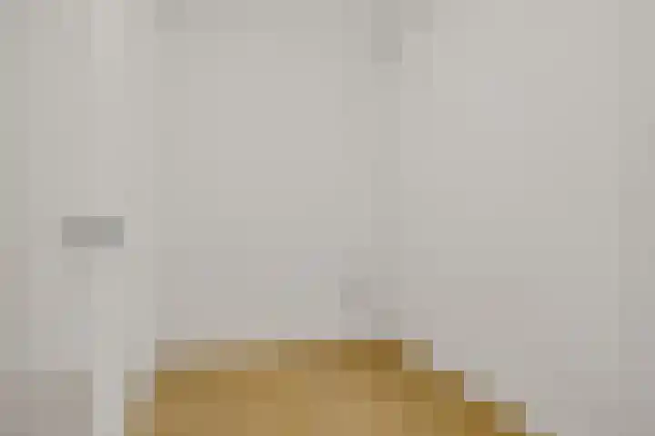 Het Hoefijzer 38 Dronten thumbnail 18