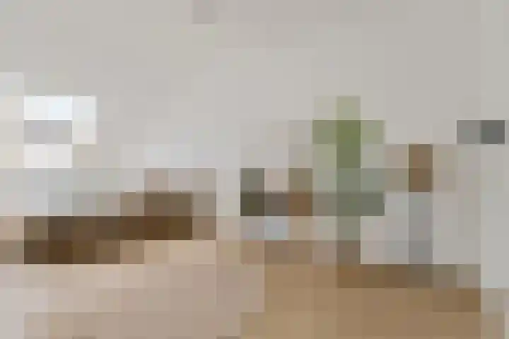 Het Hoefijzer 38 Dronten thumbnail 22