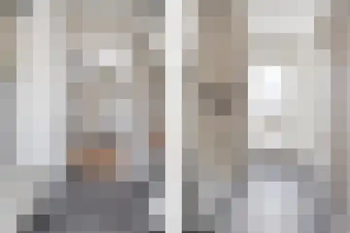 Het Hoefijzer 38 Dronten thumbnail 23
