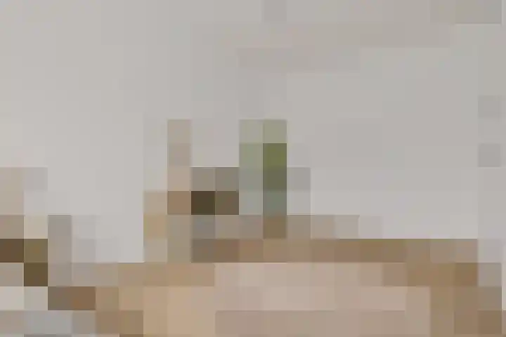 Het Hoefijzer 38 Dronten thumbnail 23