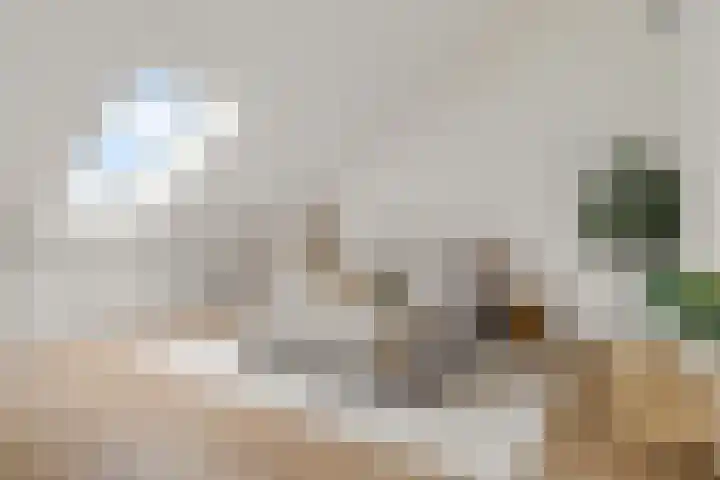 Het Hoefijzer 38 Dronten thumbnail 25