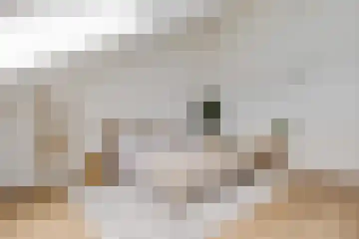 Het Hoefijzer 38 Dronten thumbnail 26