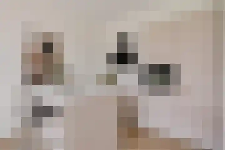 Het Hoefijzer 38 Dronten foto 3