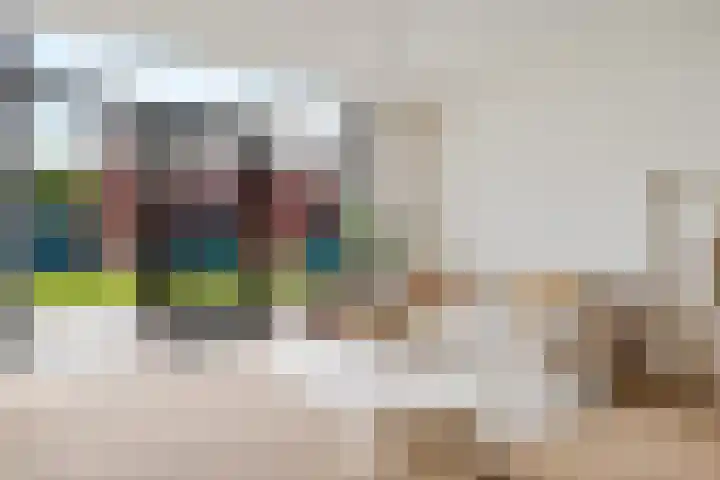 Het Hoefijzer 38 Dronten thumbnail 9