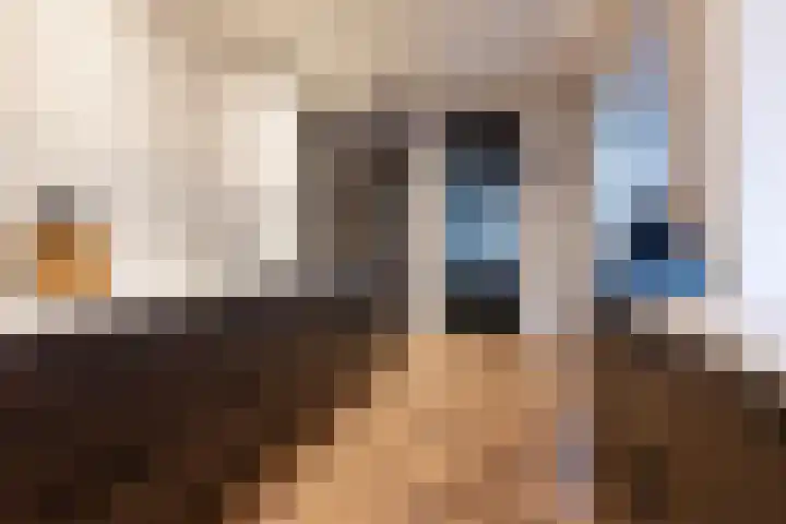 Het Hoefke 13 Ossendrecht thumbnail 11