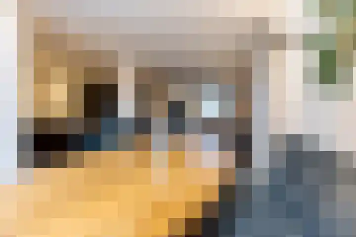 Het Hoefke 13 Ossendrecht thumbnail 13
