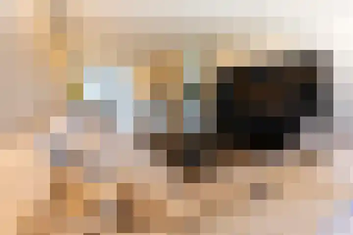 Het Hoefke 13 Ossendrecht thumbnail 14