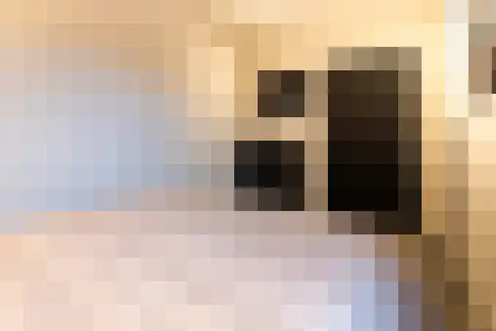 Het Hoefke 13 Ossendrecht thumbnail 22