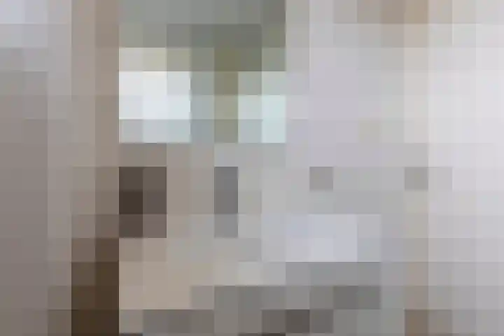 Het Hoefke 13 Ossendrecht thumbnail 25