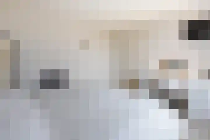 Het Hoefke 13 Ossendrecht thumbnail 29
