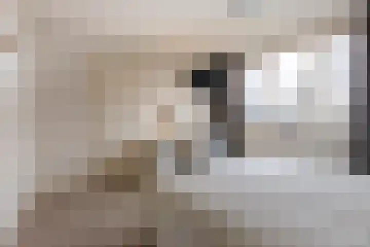 Het Hoefke 13 Ossendrecht thumbnail 30