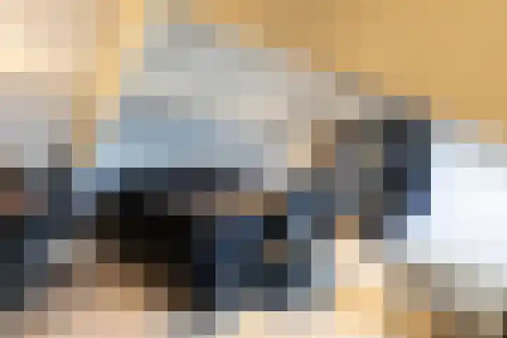 Het Hoefke 13 Ossendrecht thumbnail 36