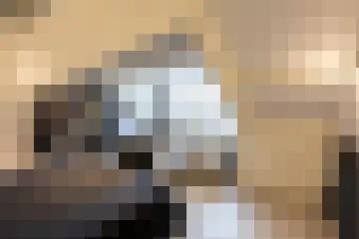 Het Hoefke 13 Ossendrecht thumbnail 37