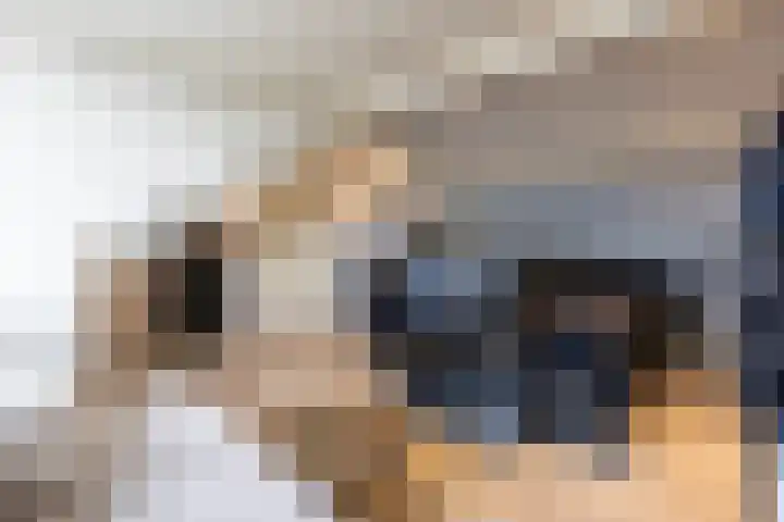 Het Hoefke 13 Ossendrecht thumbnail 38