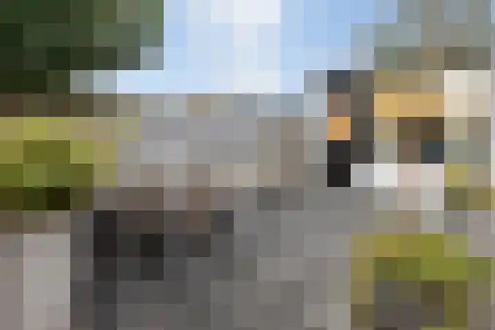Het Hoefke 13 Ossendrecht thumbnail 40