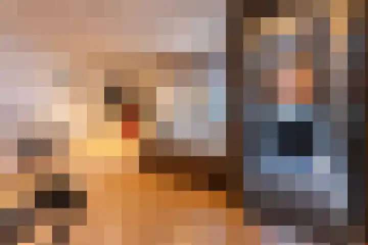 Het Hoefke 13 Ossendrecht thumbnail 41