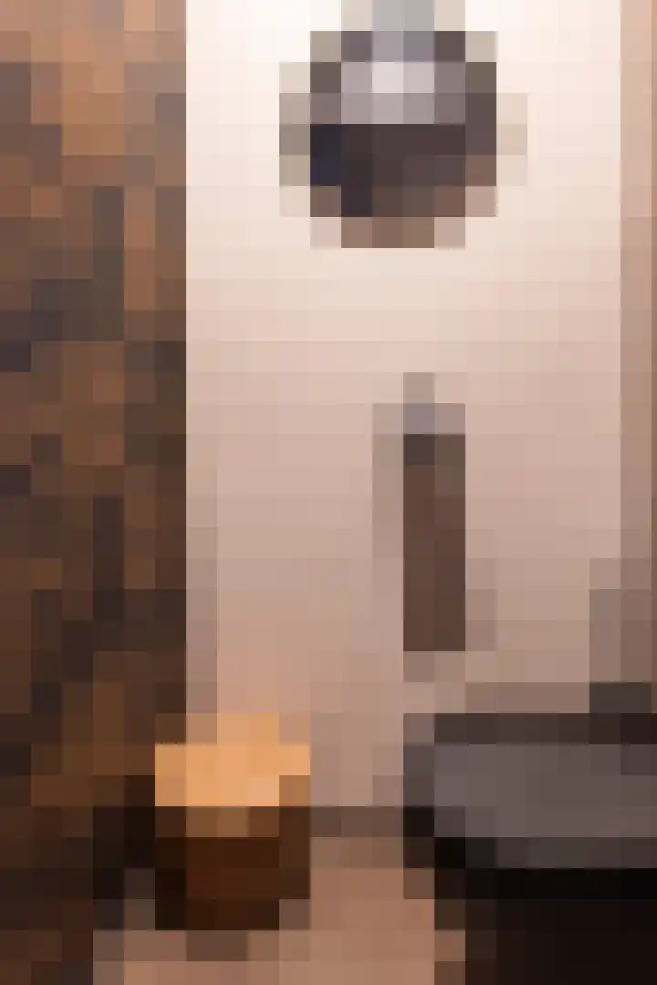 Het Hoefke 13 Ossendrecht thumbnail 7