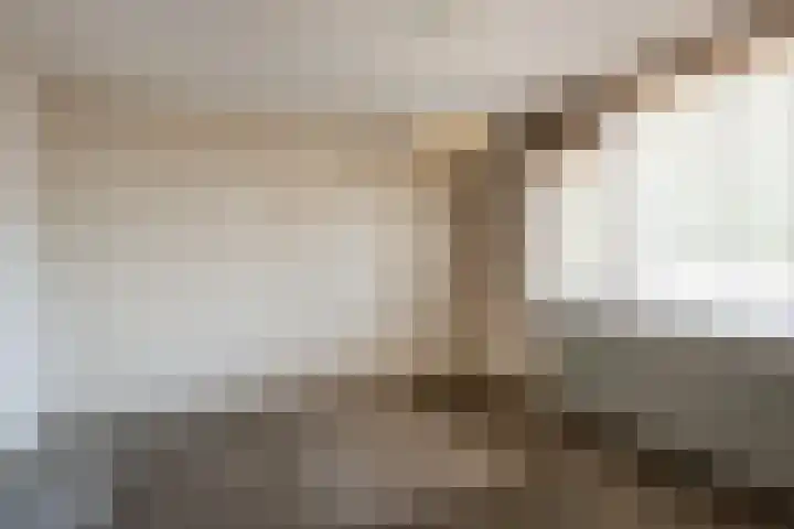Het Hoefke 23 Ossendrecht thumbnail 15