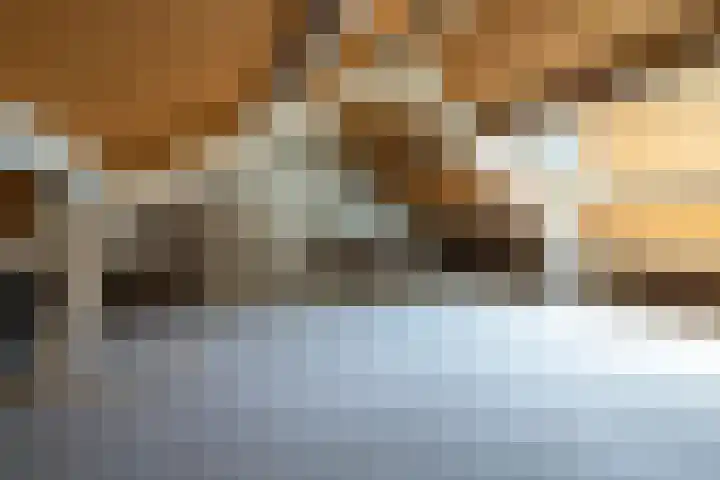 Het Hoefke 23 Ossendrecht thumbnail 22
