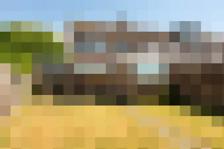 Het Hoefke 23 Ossendrecht thumbnail 23