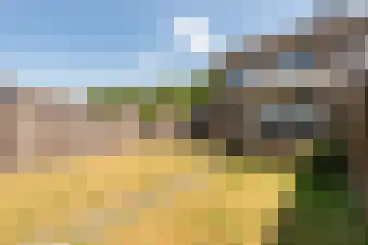 Het Hoefke 23 Ossendrecht thumbnail 24