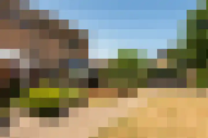 Het Hoefke 23 Ossendrecht thumbnail 29