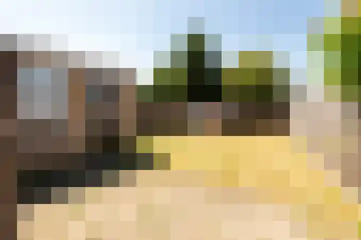 Het Hoefke 23 Ossendrecht thumbnail 5