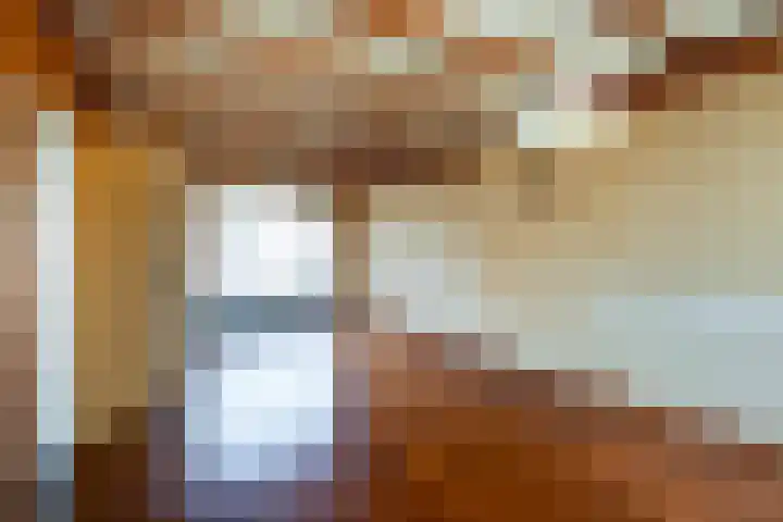 Het Hoefke 23 Ossendrecht thumbnail 6