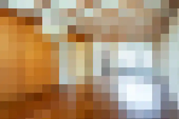Het Hoefke 23 Ossendrecht thumbnail 7