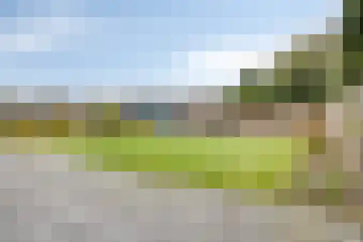 Het Hoefke 42 Ossendrecht thumbnail 26